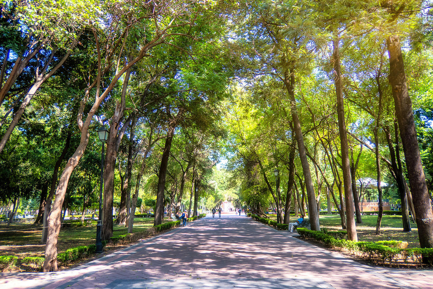 alameda of queretaro-mexico